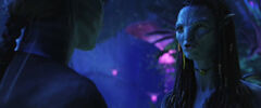 Oct29Trailer-49.jpg