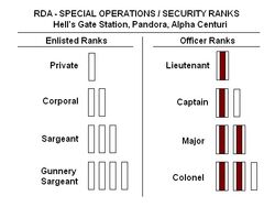 RDA Ranks.jpg