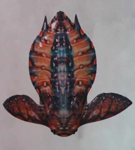 Файл:Dinicthoid.png