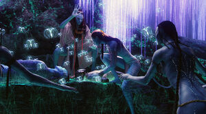 Consciousness.jpg
