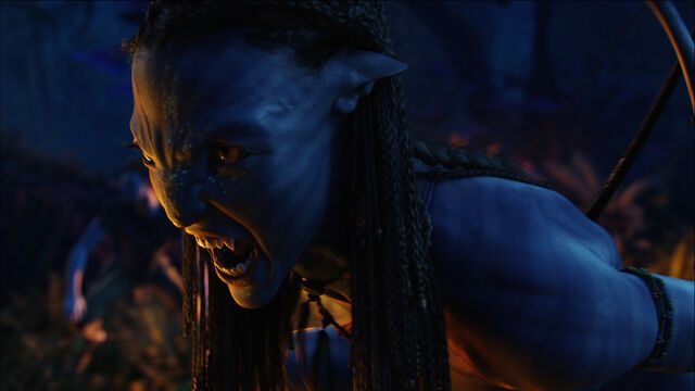 Plik:Neytiriface.jpg