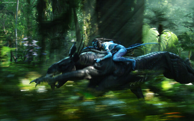 Fichier:Neytiri and thanator 1920.jpg