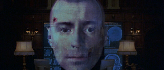File:Renard face.jpg
