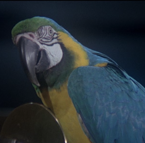 File:Screenshot 2015-07-09 15.58.41.png