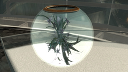 Orchid (007 Legends)