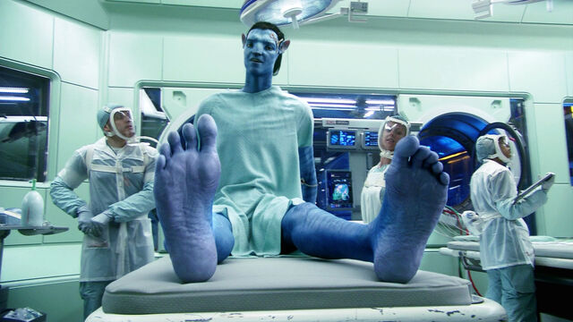 File:Jake wriggles his feet.jpeg