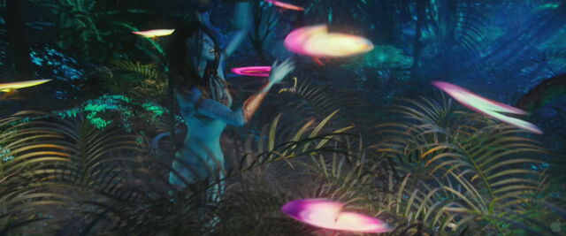 File:Special Edition Trailer 03.jpg.jpg