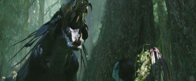 File:Capture044.jpg
