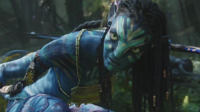 File:Neytiri protects Jake 3.jpg