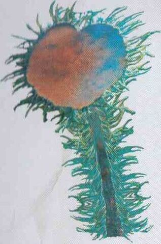 File:Anemonid.jpg