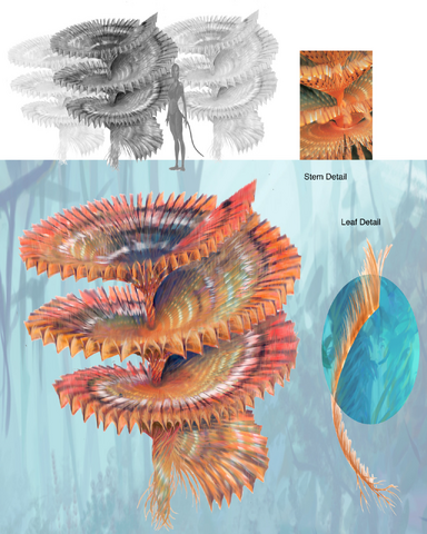 File:Helicoradian.png