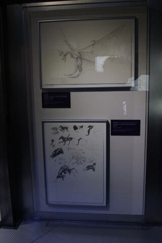 File:Expo 3276.jpg