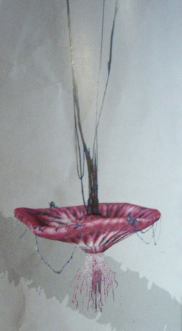 File:Panopyra.png