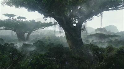 Hometree