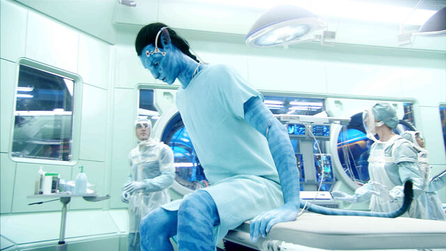 File:Avatar-movie-picture-4.jpg