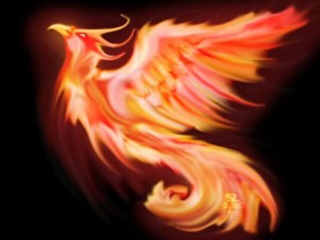 File:Orangephoenix.jpg