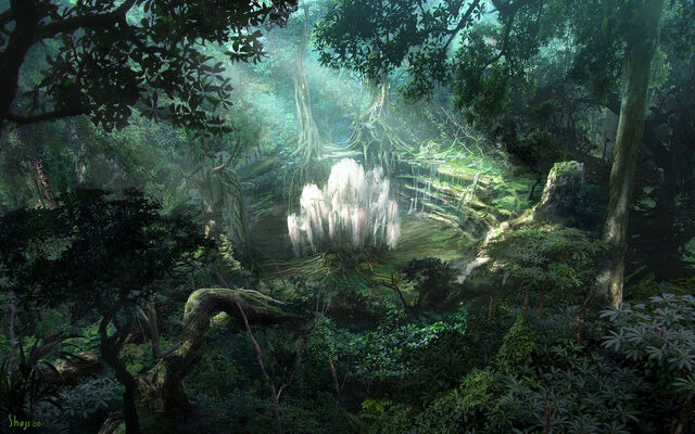 File:Willow tree.jpg