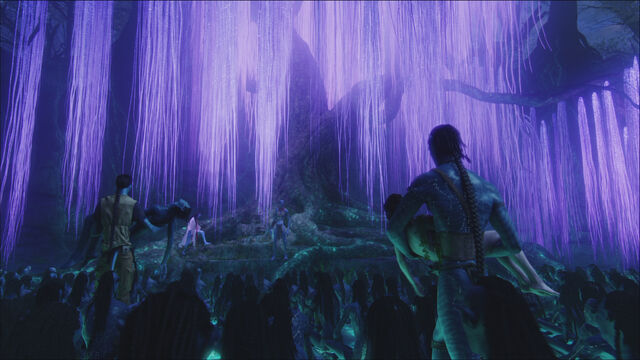 File:Grace(g).TreeOfSouls.screencap.jpg