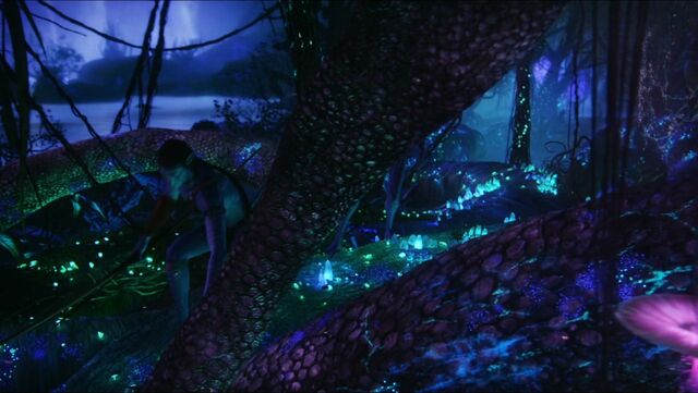 File:Tracking at night.jpg