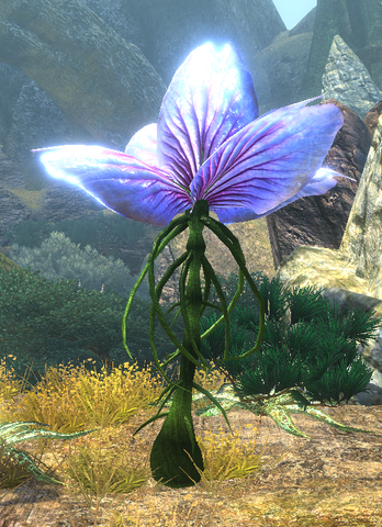 File:Tulipthorn Game.png