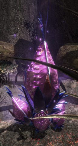 File:Unknownplant4.png
