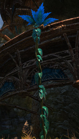 File:Liana PC.png