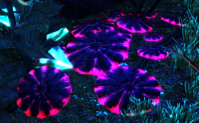 File:Unknownplant3.png