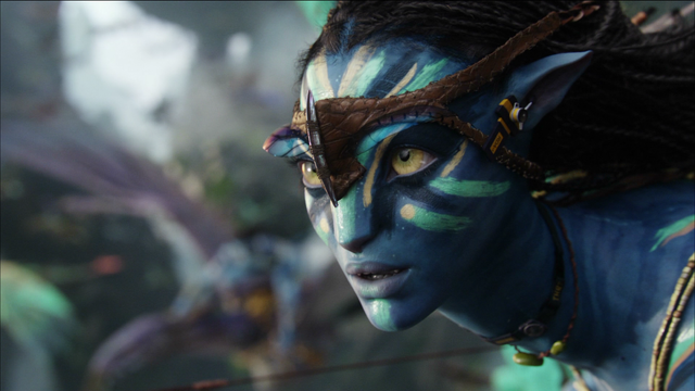 File:Neytiri war print2.png