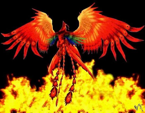File:Phoenix4.jpg