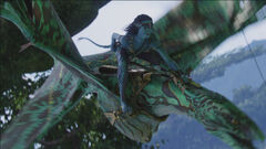 Neytiri.Flying.Hometree.screencap