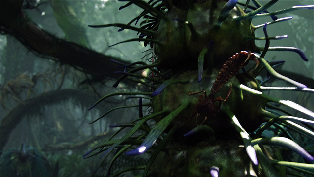 File:Arachnoid Movie.png