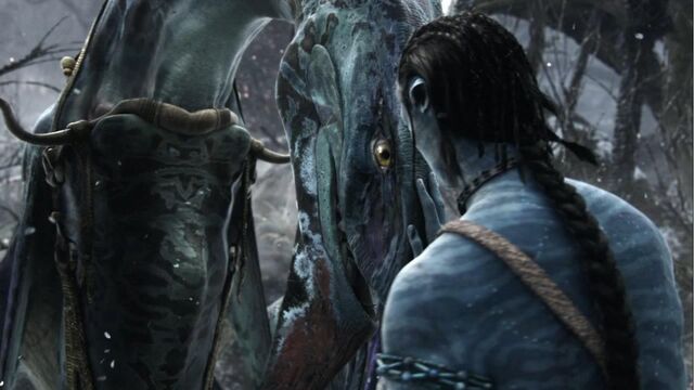File:Jake & his ikran.jpg