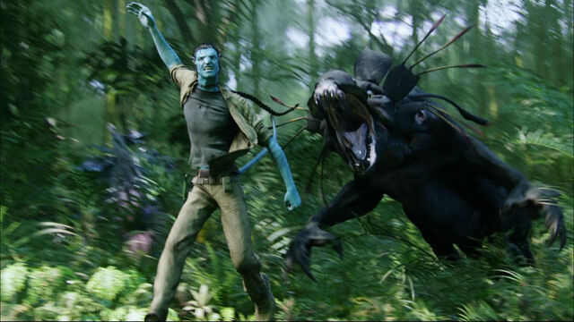 File:Jake-jumps.jpg