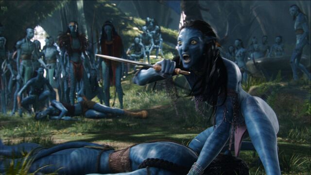 File:Neytiri protects jakes avatar.jpg