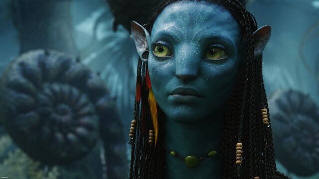 File:Neytiripaaandora.jpg