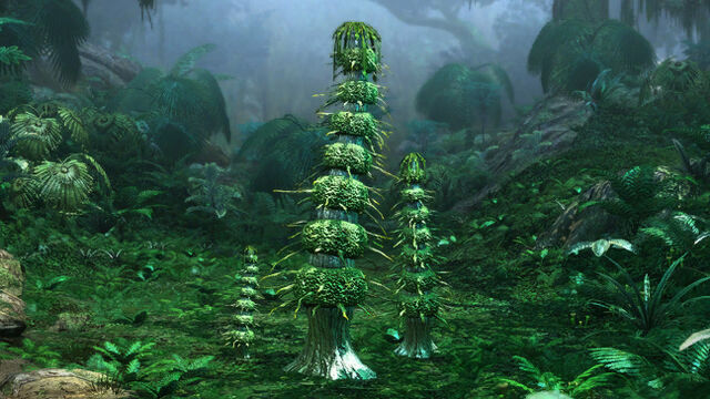 File:Episoth.jpg