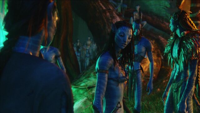 File:PDVD 053.jpg