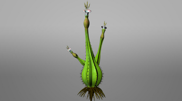 File:Pandora ROVR Hookagourd.png