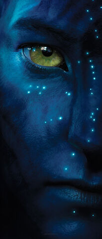 File:Avatarhead12.jpg