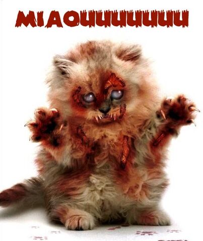 File:Zombiekitten.jpg