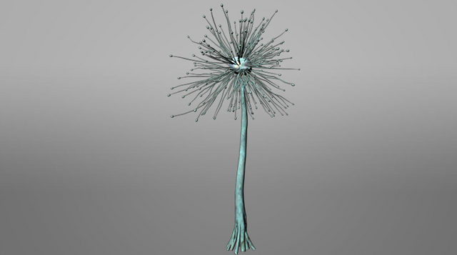 File:Pandora ROVR Dandetiger.png