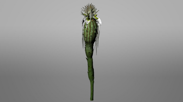 File:Pandora ROVR Thistle Bud.png