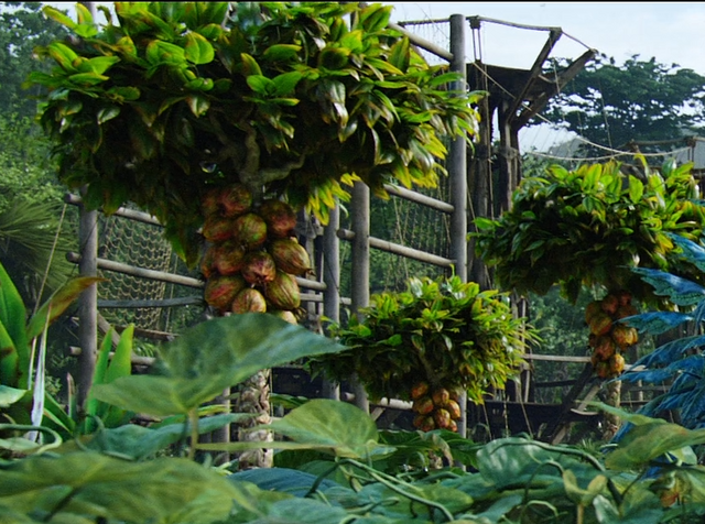 File:Melontree Movie.png