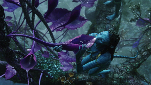 File:Neytiri Drinking.png