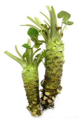 File:Wasabi-zen.jpg