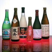 Sakebottles1