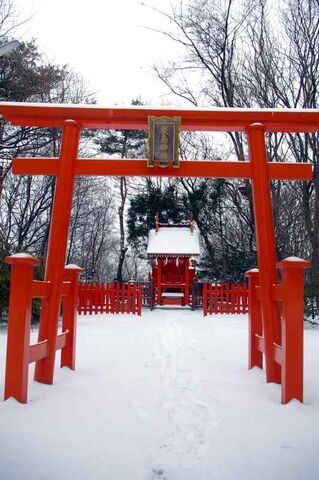 ファイル:Red & White-9946.jpg