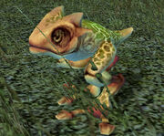 Gizka.jpg