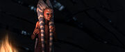 Ahsoka-Zukunft.jpg