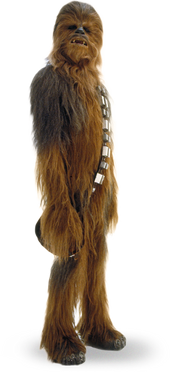 Chewbacca detail.png